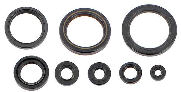Kit paraoli motore Centauro Honda CRF 450RX 21-25