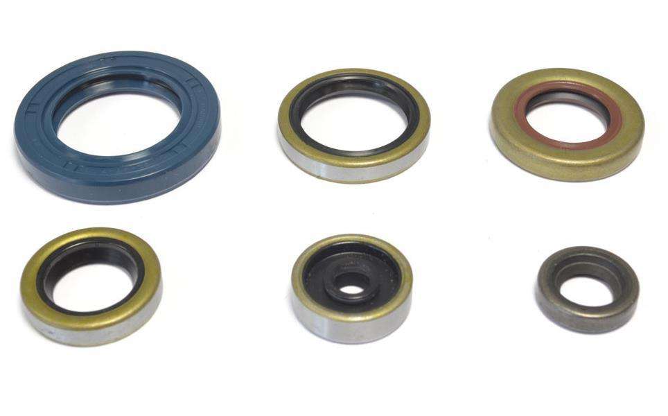 Kit paraoli motore NRTeam Gas Gas MC 65 21-23