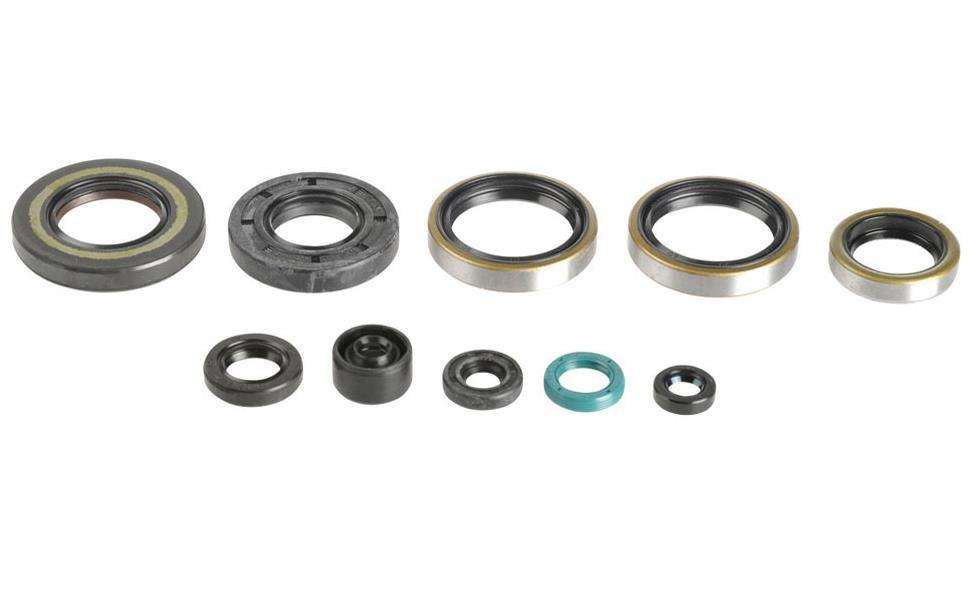 Kit paraoli motore Centauro Kawasaki KX 250 05-08