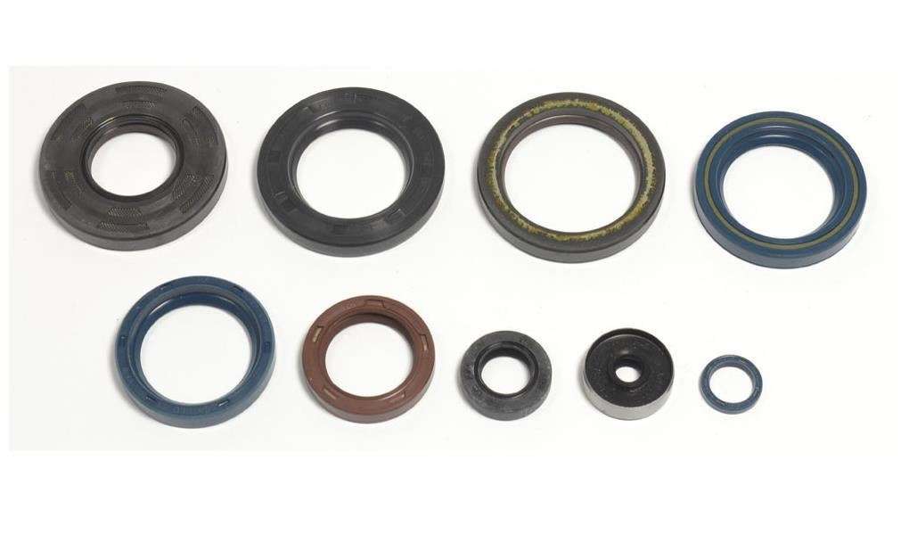 Kit paraoli motore Centauro Ktm EXC 250 90-03