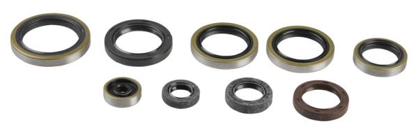 PARAOLI MOTOCROSS MARKETING HUSQVARNA TC 250 (14-16) MOTORE