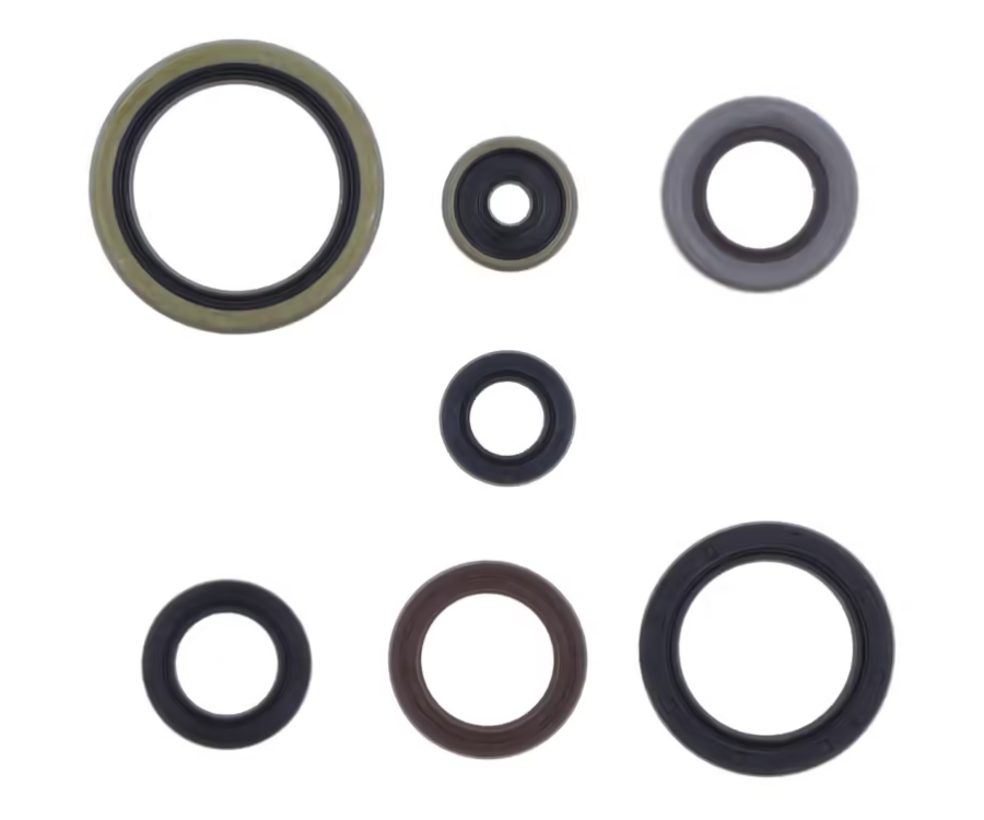 Kit paraoli motore Centauro Gas Gas MC 250 22-23