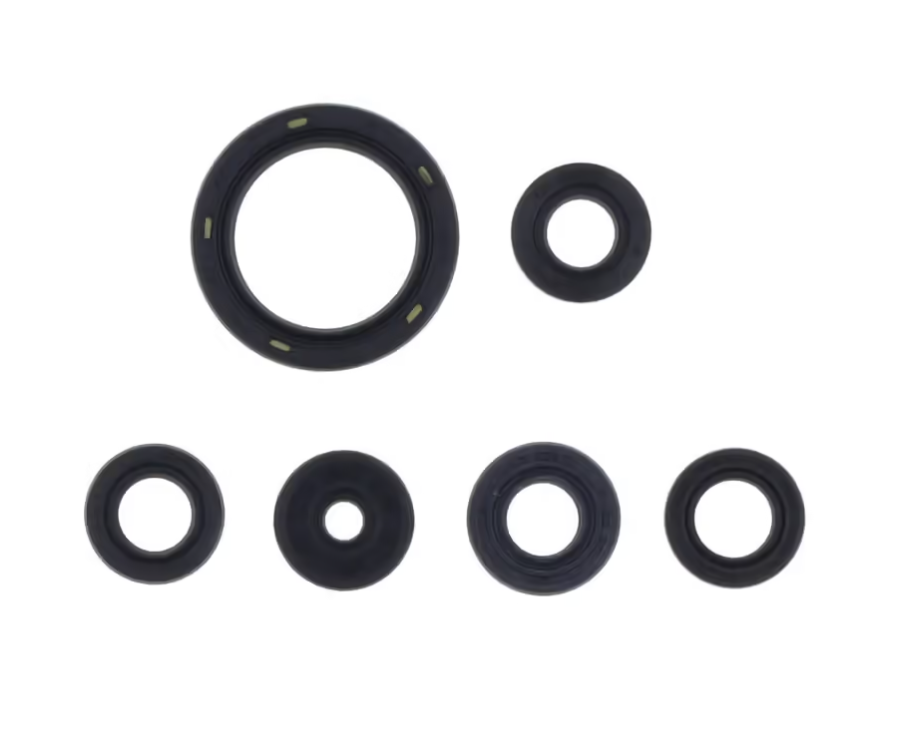 Kit paraoli motore Centauro Ktm SX-F 450 23-25