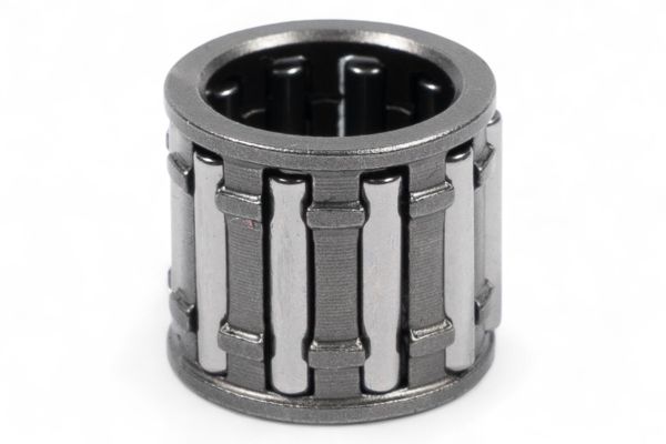 GABBIA A RULLI TM EN 300 (99-25) PROX