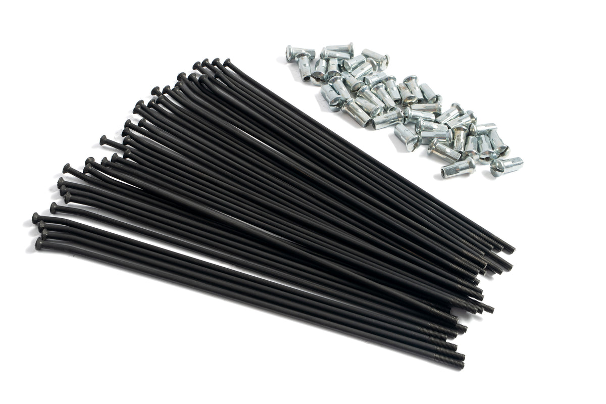 SERIE RAGGI FANTIC XE 125 (21-26) 21" HAAN WHEELS