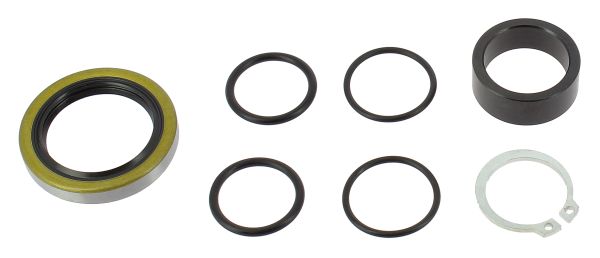 TENUTA ALBERO SECONDARIO HUSABERG FE 570 (09-12) BEARINGWORX