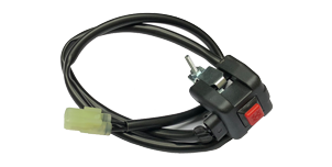 Pulsanti e blocchetti elettrici