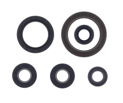 SERIE PARAOLIO MOTORE NRTEAM GASGAS 250 EC-F (21-25)