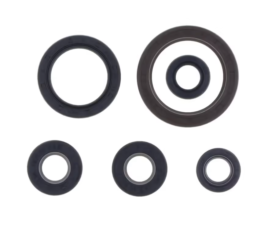 Kit paraoli motore NRTeam Gas Gas EC-F 350 21-25