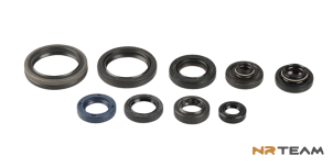 SERIE PARAOLIO MOTORE NRTEAM GASGAS 350 MC-F (22-23)