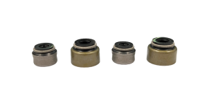 KIT PARAOLIO VALVOLE GASGAS 250 EC-F (13-15)