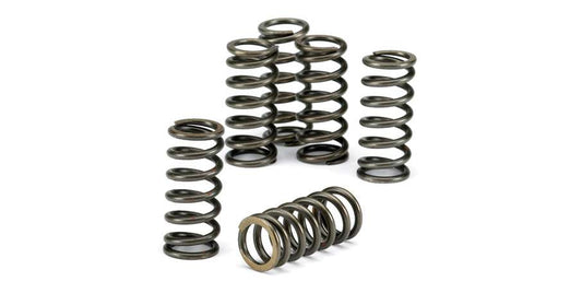 Kit molle frizione Suzuki RMZ 250 10-18