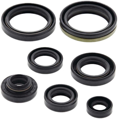 SERIE PARAOLIO MOTORE CENTAURO SUZUKI RM 125 (92-12)