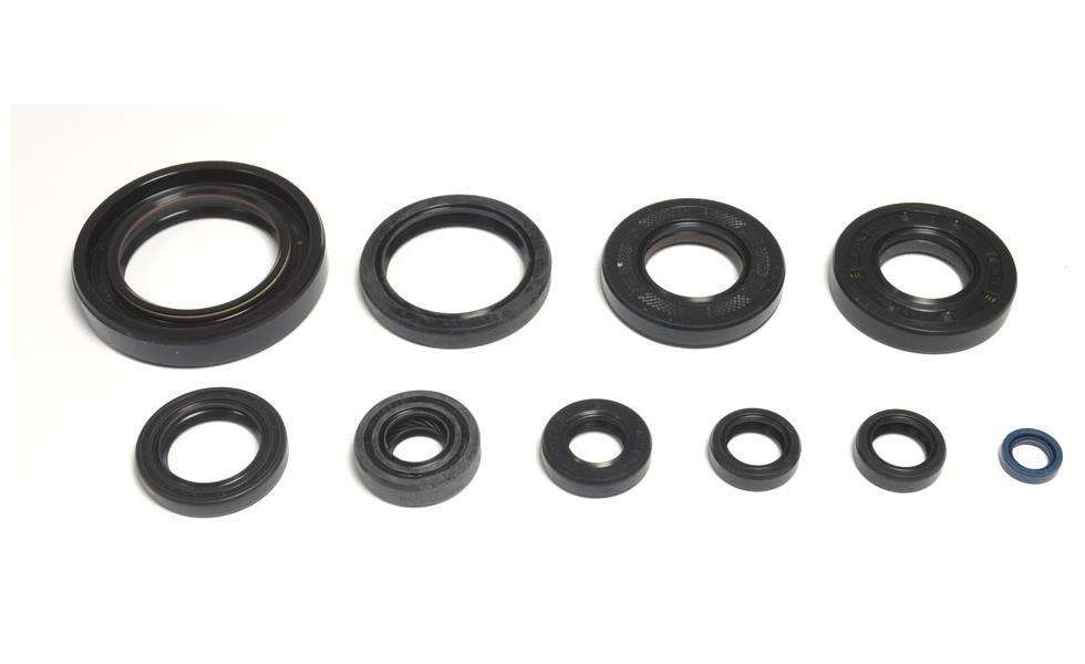 Kit paraoli motore Centauro Yamaha YZ 250 98-00