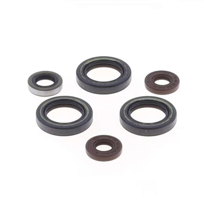 SERIE PARAOLIO MOTORE CENTAURO SHERCO 125 SE-R (18-21)