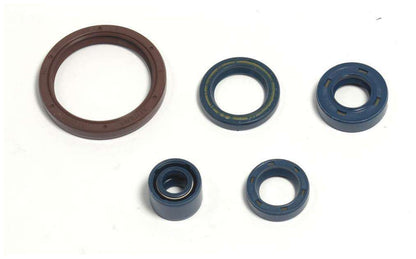 SERIE PARAOLIO MOTORE CENTAURO HUSQVARNA 450 TE (03-09)