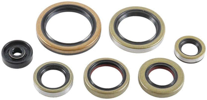 SERIE PARAOLIO MOTORE NRTEAM KTM 300 EXC (17-25)