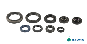 SERIE PARAOLIO MOTORE CENTAURO GASGAS 65 MC (24-25)