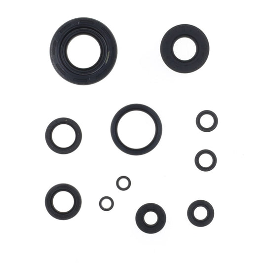 SERIE PARAOLIO MOTORE CENTAURO FANTIC 250 XX (22-23)