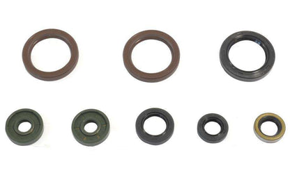SERIE PARAOLIO MOTORE CENTAURO KTM 500 EXC-F (12-13)