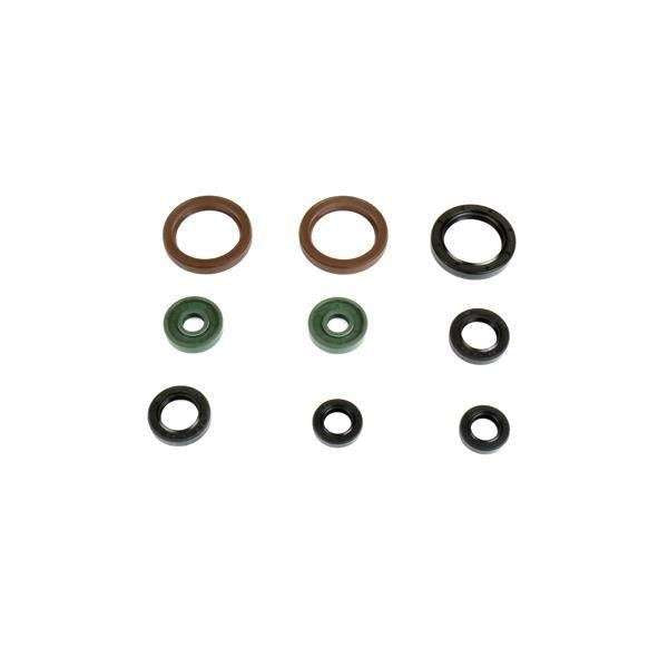 Kit paraoli motore Centauro Ktm EXC-F 500 14-16