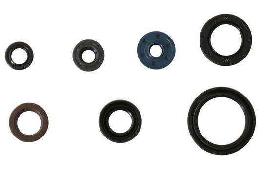 Kit paraoli motore Centauro Yamaha WRF 250 15-18