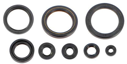SERIE PARAOLIO MOTORE CENTAURO HONDA CRF 450 RX (21-24)