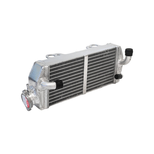 RADIATORE BETA RR 300 (13-19) SINISTRO