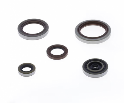SERIE PARAOLIO MOTORE CENTAURO BETA RR 300 (13-25)