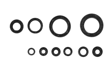 SERIE PARAOLIO MOTORE NRTEAM HONDA CRF 250 X (04-17)