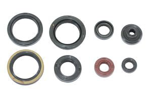 SERIE PARAOLIO MOTORE NRTEAM SUZUKI RMZ 250 (10-24)