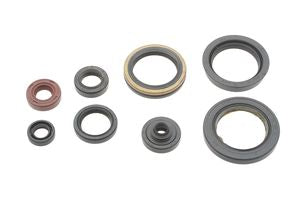 SERIE PARAOLIO MOTORE NRTEAM SUZUKI RMZ 450 (08-24)