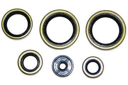 SERIE PARAOLIO MOTORE NRTEAM HUSQVARNA 125 TC (14-15)