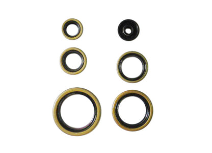 SERIE PARAOLIO MOTORE NRTEAM HUSABERG 250 TE (11-14)