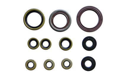 SERIE PARAOLIO MOTORE NRTEAM HUSQVARNA 250 FC (14-15)
