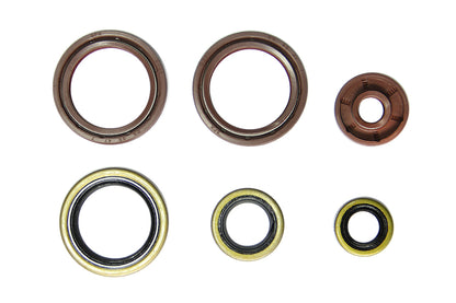 SERIE PARAOLIO MOTORE NRTEAM HUSQVARNA 450 FE (14-16)