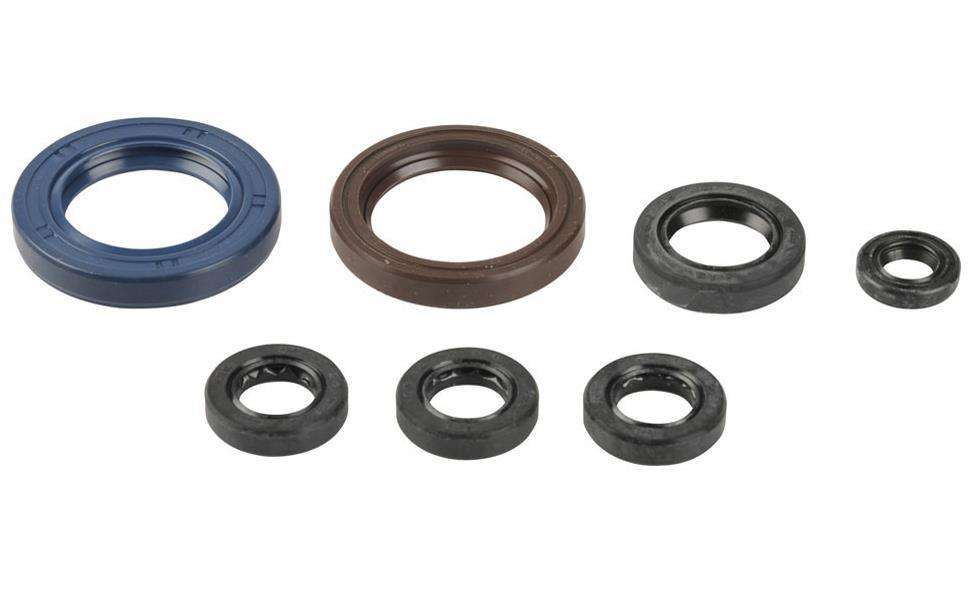 SERIE PARAOLIO MOTORE CENTAURO KTM 525 SX-F (03-07)