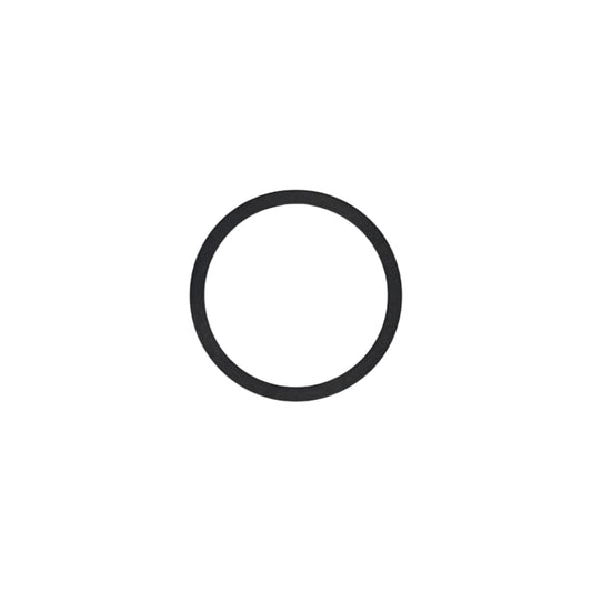 RICAMBIO - O-RING TAPPO VASCHETTA KEIHIN PJ-PWK-PWM-FCR