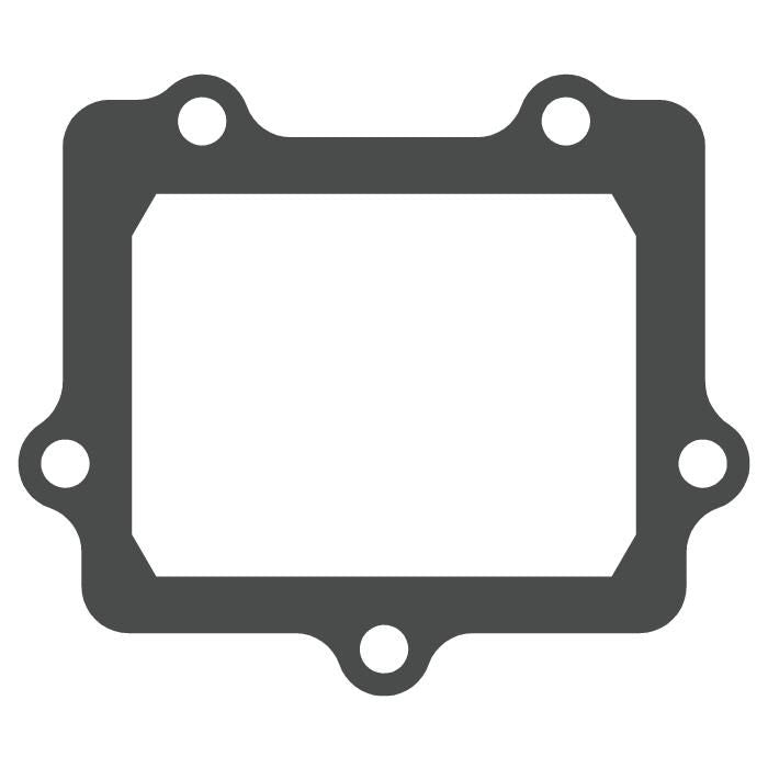 Pacco lamellare Kawasaki KX 250 05-08-V-Force 3 solo guarnizione