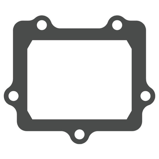 Pacco lamellare Kawasaki KX 250 05-08-V-Force 3 solo guarnizione