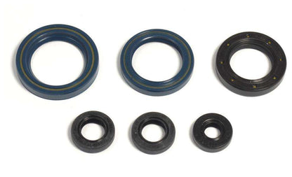 SERIE PARAOLIO MOTORE CENTAURO KTM 125 SX (94-97)