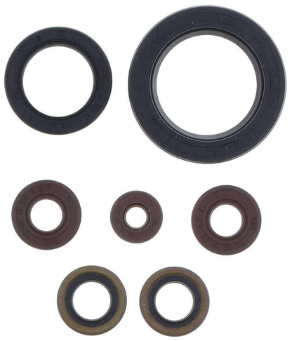 SERIE PARAOLIO MOTORE CENTAURO SHERCO 300 SEF-R (14-20)