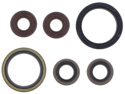 SERIE PARAOLIO MOTORE CENTAURO SHERCO 450 SEF-R (15-22)