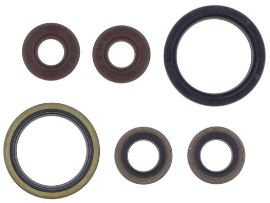 Kit paraoli motore Centauro Sherco 450 SEF-R 15-22