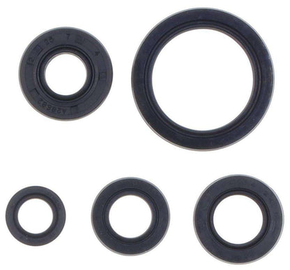 SERIE PARAOLIO MOTORE CENTAURO YAMAHA WR 250 F (20-24)
