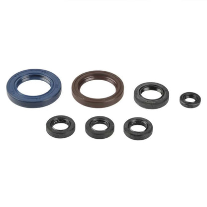 SERIE PARAOLIO MOTORE NRTEAM KTM 250 EXC-F (01-06)