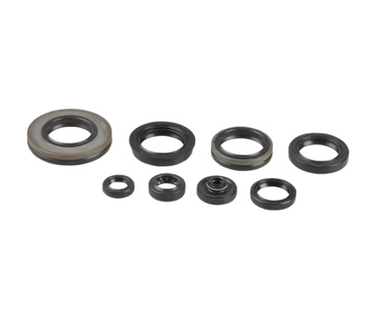 SERIE PARAOLIO MOTORE CENTAURO SUZUKI RM 250 (03-12)
