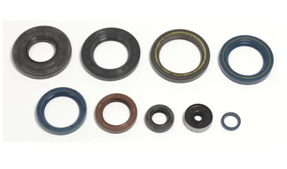 SERIE PARAOLIO MOTORE CENTAURO KTM 300 EXC (98-03)