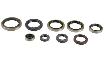 SERIE PARAOLIO MOTORE CENTAURO KTM 250 SX (03-16)