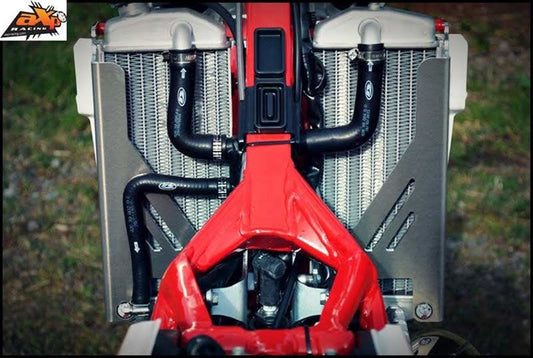 PROTEZIONE RADIATORI BETA RR 250 (14-16) AXP RACING